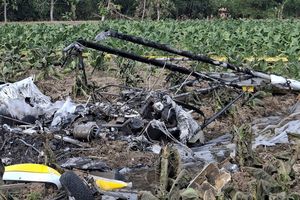 Mesin Brebet, Pilot Cerita Detik-detik Pesawat Aerosport Mendarat Darurat di Sawah Blora