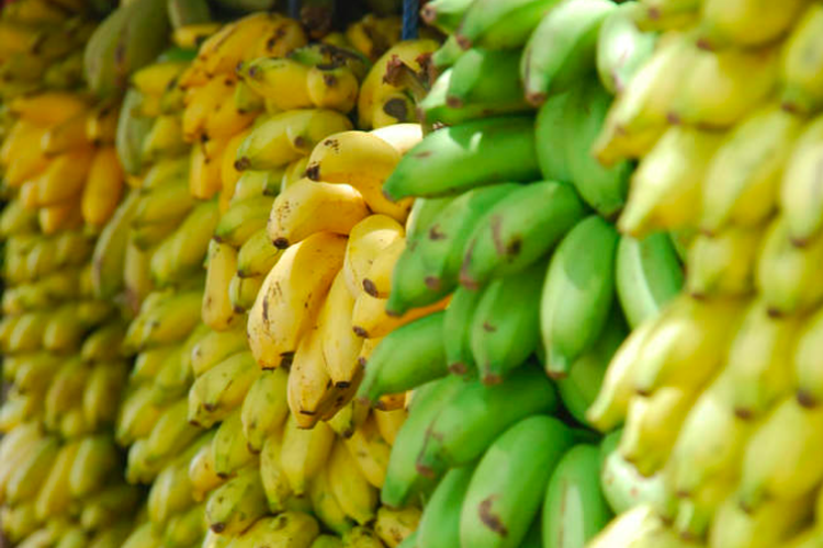 Ilustrasi buah pisang. Buah pisang salah satu makanan yang banyak mengandung asam folat yang baik untuk mencegah stunting