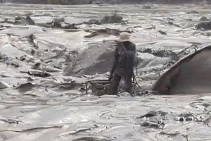 Banjir Lahar Semeru, Penambang Pasir Terjebak di Tengah Sungai Regoyo