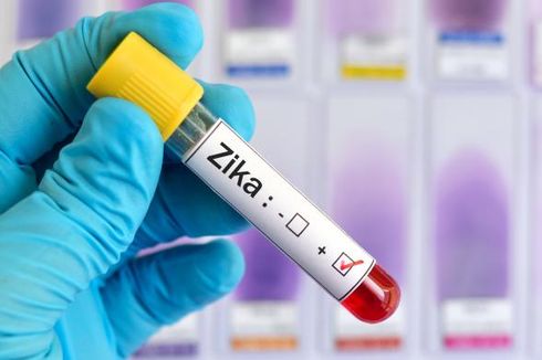 Virus Zika Diduga Bisa Menular Lewat Seks Oral