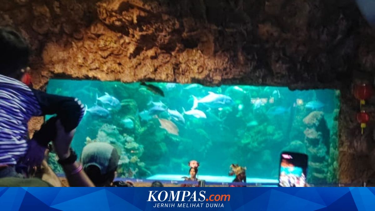Penasaran dengan Duyung, Warga Asal Semarang Rela Naik Motor ke Sea ...