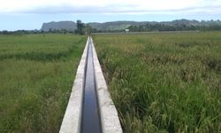 Sebagian Dana RJIT Disalurkan Melalui Sistem Swakelola oleh Petani