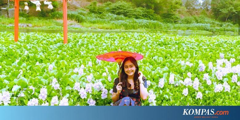 tempat wisata di samarinda 5 Tempat Wisata di Yogyakarta dengan Spot Foto yang Unik