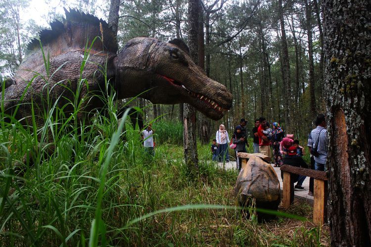 Mojosemi Forest Park yang terletak di kaki Gunung Lawu dengan hutan pinus dan ribuan pohon raksasa membuat wahana Dinosaurus Park mirip suasana aslinya di zaman purba. 