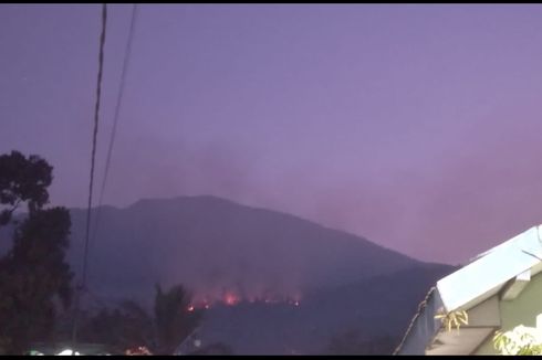 Kebakaran Hutan Lereng Gunung Lawu Bagian Utara Padam, 8 Hektar Ludes