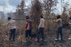 Padamkan Kebakaran Hutan di Riau, Petugas Terobos Sarang Harimau Sumatera