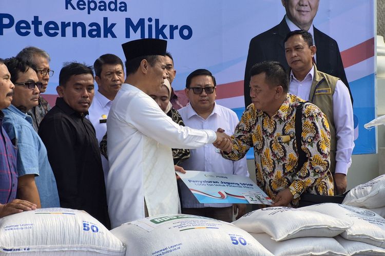 Amran Panggil Peternak untuk Cari Solusi Harga Pakan Mahal