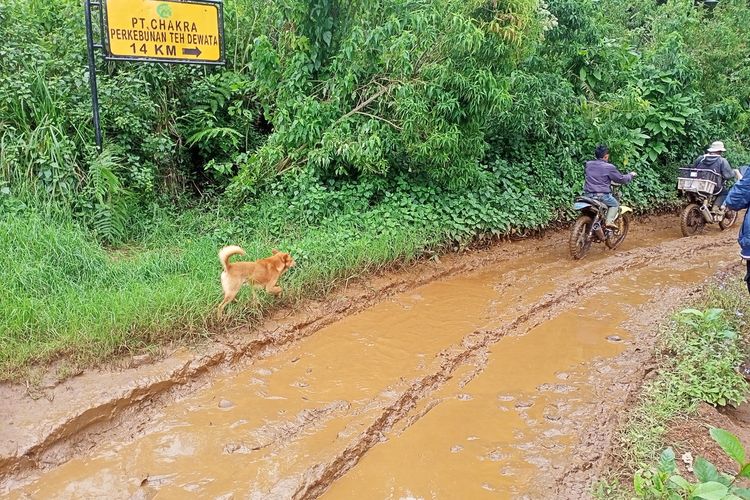 Warga Desa Sugihmukti dan Desa Tenjolaya, Kecamatan Pasirjambu, Kabupaten Bandung, Jawa Barat mengeluhkan ihwal kondisi jalan penghubung antara Kabupaten Bandung, Cianjur dan Garut yang tak kunjung diperbaiki.