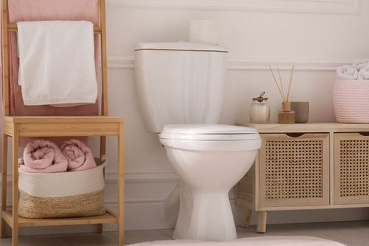 Ilustrasi kloset duduk.