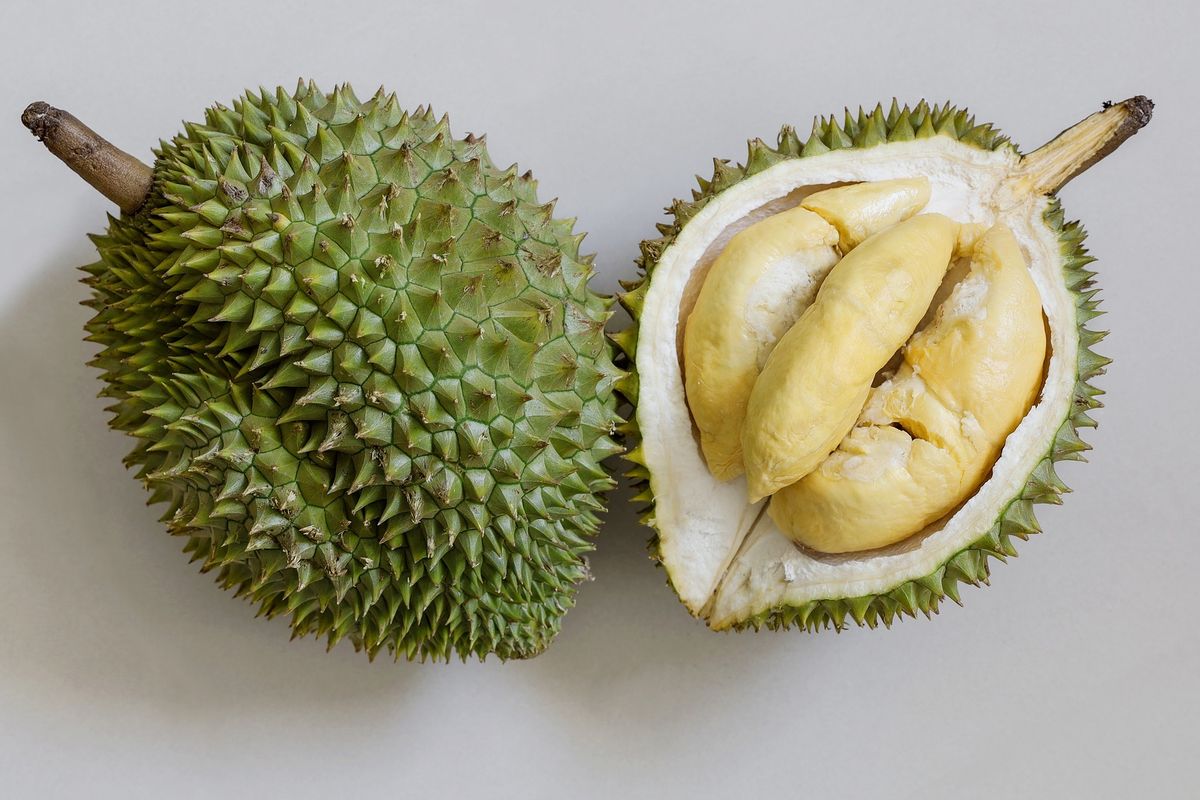 Ilustrasi durian, buah durian.
