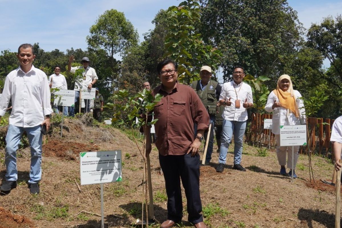 Penanaman 15.000 pohon  atas kerja sama Institut Pertanian Bogor (IPB) dan United Tractors (UT), di Taman Hutan Kampus IPB, Kamis (15/12/2022).