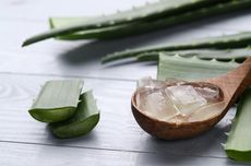 Manfaat Aloe Vera untuk Menjadikan Wajah Glowing 