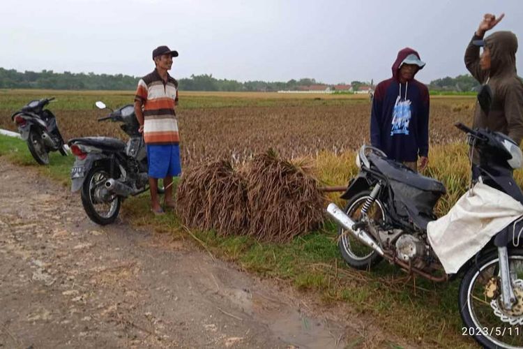 Aris Wijiatun (50) seorang buruh tani tewas tersambar petir di areal persawahan tak jauh dari rumahnya di Desa Karangrejo, Kecamatan Gabus, Kabupaten Grobogan, Jawa Tengah, Kamis (11/5/2023).
