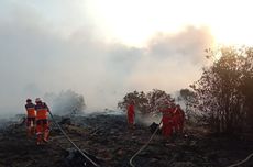 Karhutla Makin Menggila, 4 Kali Lebih Luas dari Tahun Lalu