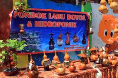 Kreasi Unik Perajin di Cirebon, Labu Botol Diubah Jadi Hiasan Rumah Tangga