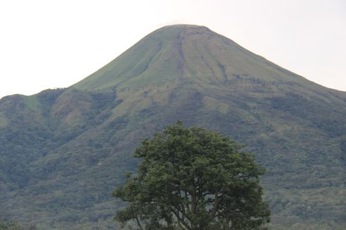 Pencarian Peserta Lari yang Hilang di Gunung Arjuno Diarahkan ke Curah Sriti 