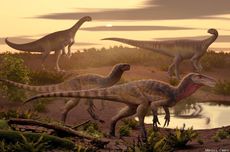 Dinosaurus Pemangsa Tertua Ditemukan di India