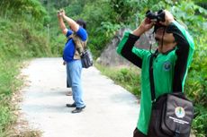 Kawanan Kera Serang Ladang di Semarang, Petani Rugi Rp 300 Juta