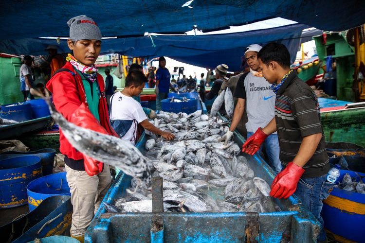 Indonesia?s export portfolio underwent an expansion as it begins shipping tuna fish to South Korea.