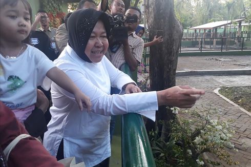 Risma: Surabaya Menunggu 20 Tahun Terbebas Masalah Sampah...