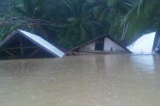 Ribuan Hektar Sawah Gagal Panen akibat Banjir di Sultra