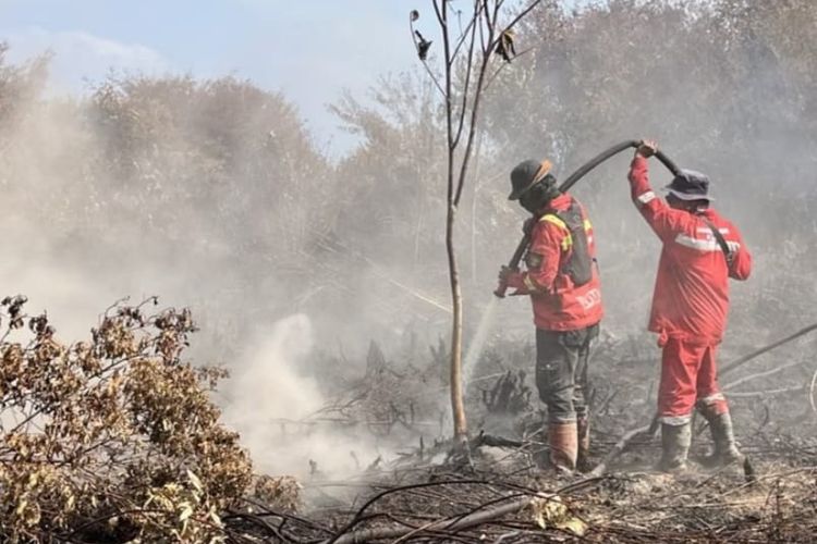 Pangale Mamuju Tengah Diselimuti Asap Pekat, BPBD Telusuri Sumber
