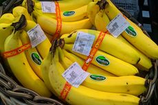 Sekarang Bisa Lacak Asal Pisang Mas Lewat Teknologi Blockchain