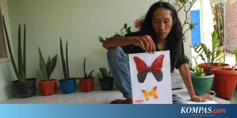 Contoh Kolase Kupu2  Dari Kertas Moa Gambar
