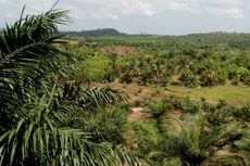 Lahan 3 Hektar Tak Diberi, Transmigran Ini Jadi Satpam Bergaji Rp 76.000 Sehari