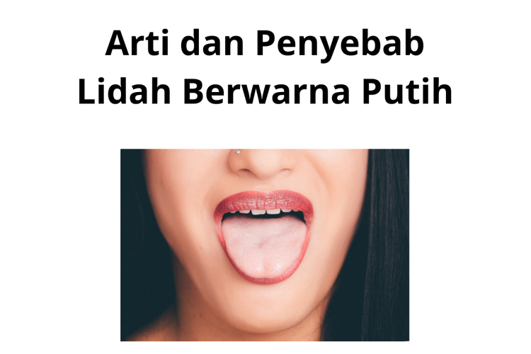 Lidah merupakan akar dari jantung dan merupakan peta keadaan fungsi organ.