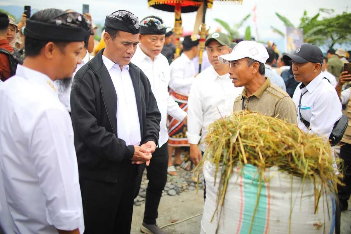 Menteri Pertanian (Mentan) Andi Amran Sulaiman mengunjungi Desa Margomulyo, Kecamatan Tomoni, Kabupaten Luwu Timur, Sulawesi Selatan, Senin (19/5/2025) untuk melaksanakan panen padi