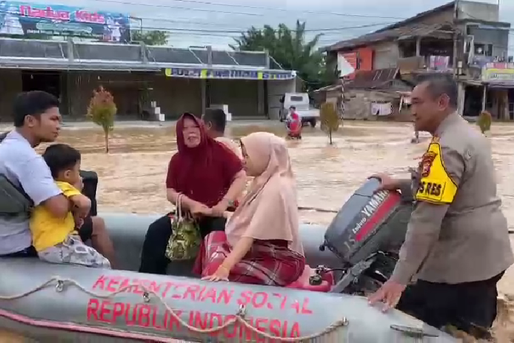 Foto Viral Video Banjir Aliran Sungai Dipenuhi Pohon Di Rokan Hulu