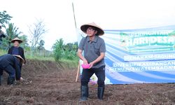 Kejar Target Swasembada Pangan, Menteri Desa PDT Ingin Penggunaan Lahan Dimaksimalkan