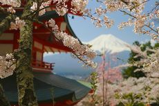 Total Biaya Hidup dan Kuliah di Jepang yang Harus kamu Ketahui Sebelum Berangkat!