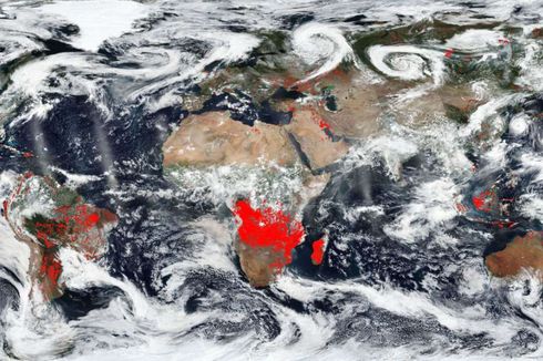 NASA Rilis Peta yang Soroti Jumlah Kebakaran Hutan di Bumi