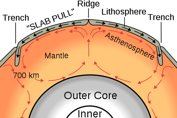 Ilustrasi arus konveksi dalam mantel bumi yang menggerakkan kerak bumi dalam teori konveksi Arthur Holmes