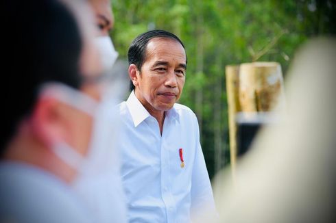 Jokowi: Jangan Sampai Ada Lahan Terlantar Tak Ditanami Apa-apa, Tanami!