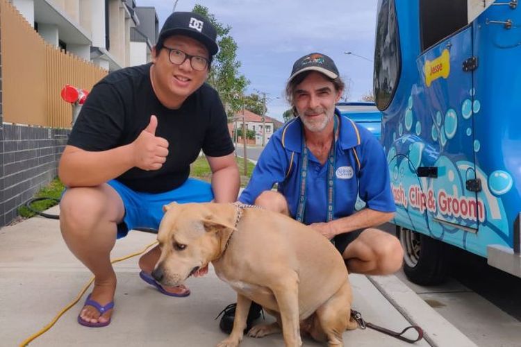 Robin, WNI di Australia yang menawarkan jasa dog walker untuk mencari penghasilan tambahan selama pandemi virus corona.