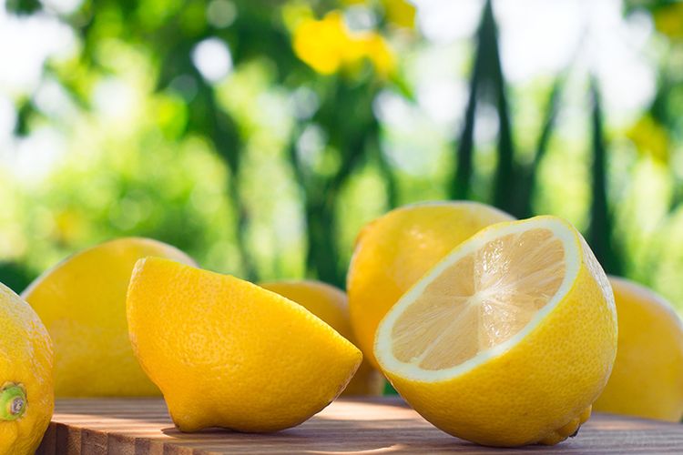 Ilustrasi lemon. 