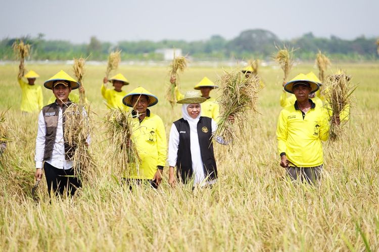 Langkah Khofifah Jaga Produksi Pertanian Jelang Musim Kemarau 