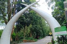 44.000 Hektar Hutan Kaltim Lenyap, DPRD Ingatkan Risiko Bencana Membesar