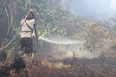 Kebakaran Hutan di Indragiri Hulu, Pemadaman Dibantu 4 Helikopter