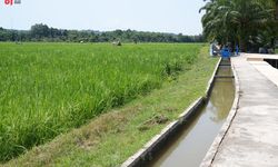 Kucurkan Rp 107,28 Miliar, Kementerian PU Rehabilitasi 429 Km Jaringan Irigasi di Riau