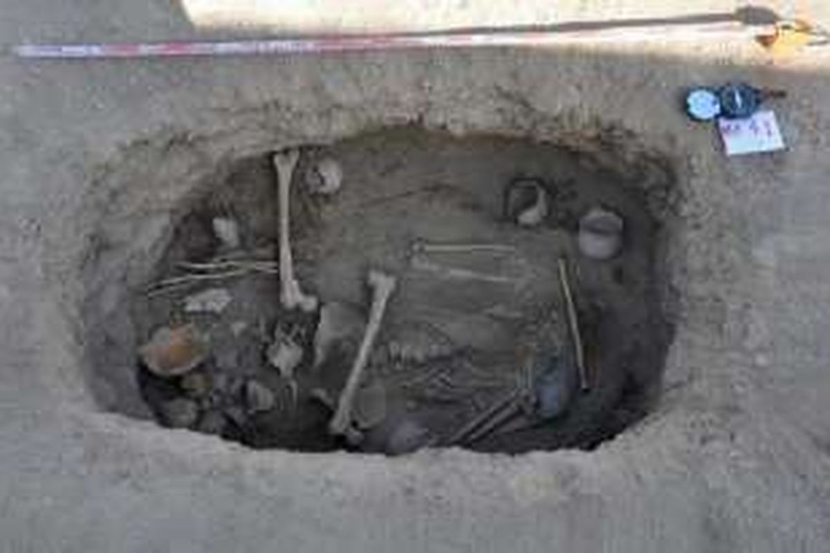 Tanaman ganja yang disusun di tubuh seorang pria paruh baya sebelum penguburannya di Turpan, China, sekitar 2.500 tahun lalu.