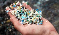 Mikroplastik Jadi Tantangan Serius di Laut, Bisa Ancam Manusia