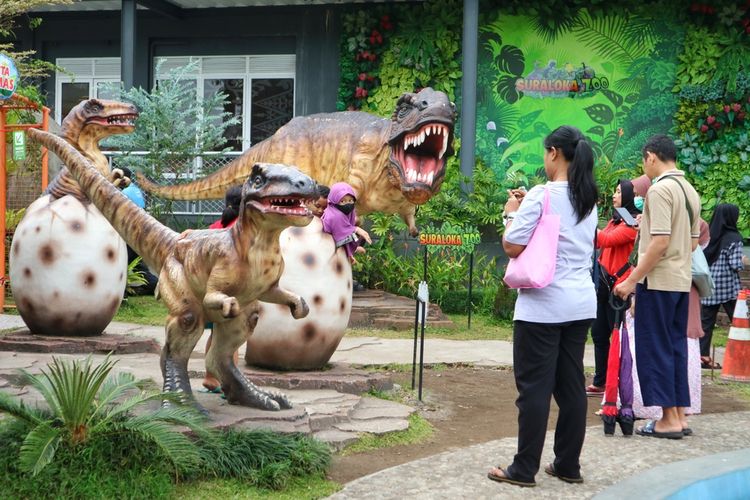 Wisatawan berkunjung ke Suraloka Interactive Zoo, Yogyakarta