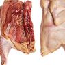 Adakah Kandungan Gizi Daging Ayam Tiren? Ini Penjelasan Para Ahli…
