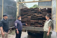 5 Orang Sopir hingga Kernet Truk Ditangkap, Diduga Bawa Kayu Ilegal Berasal dari Hutan Lindung di Riau
