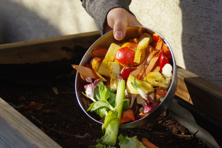 Ilustrasi kompos, ilustrasi pupuk organik dari sisa makanan dapur. 