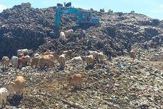 Dibuka Terbatas, TPA Piyungan Alami Peningkatan Sampah yang Dibuang